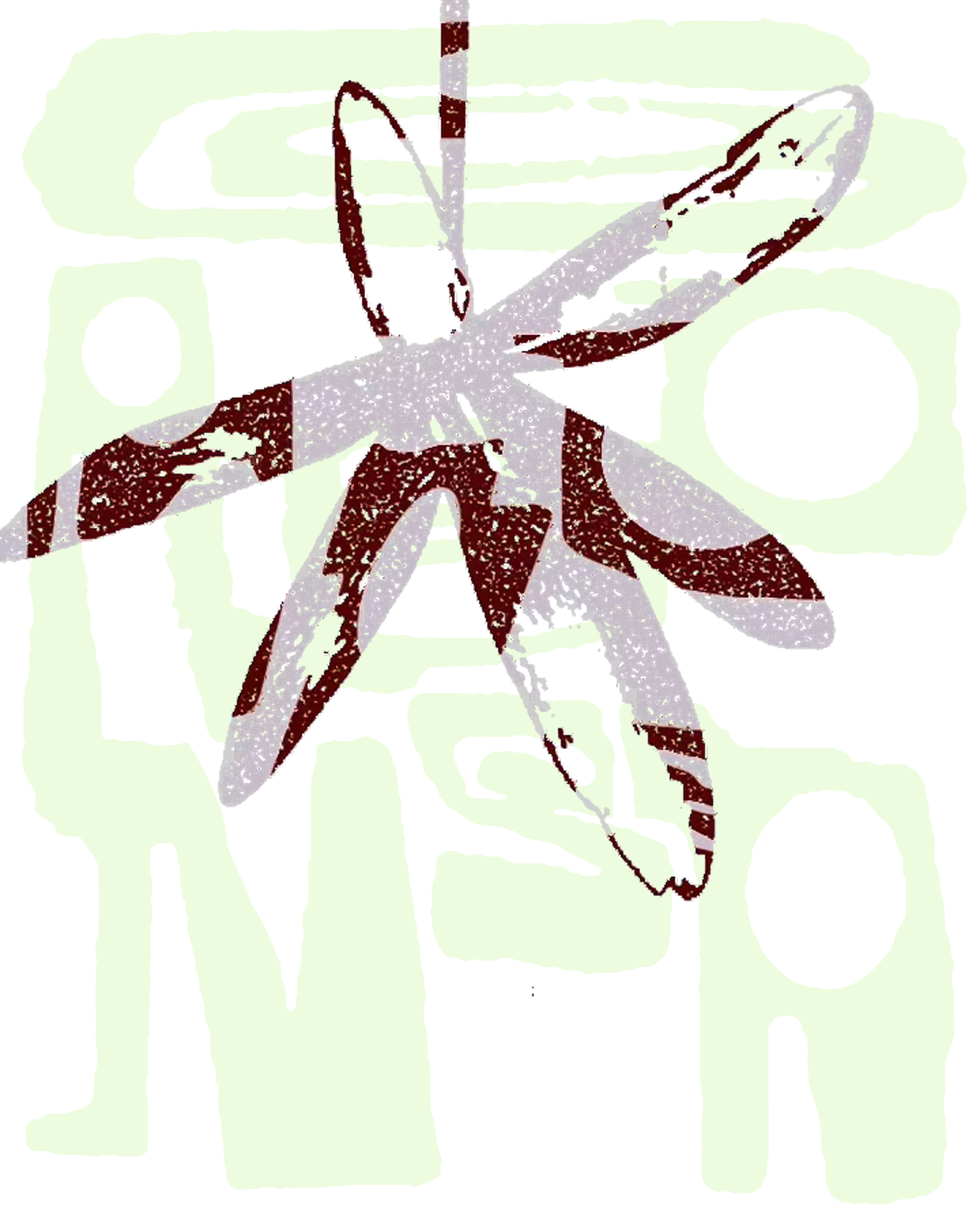 GABONSA